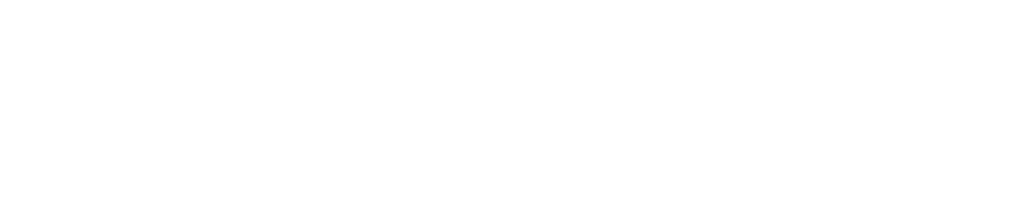 ArmorVue